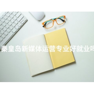 秦皇岛新媒体运营专业好就业吗