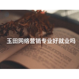 玉田网络营销专业好就业吗