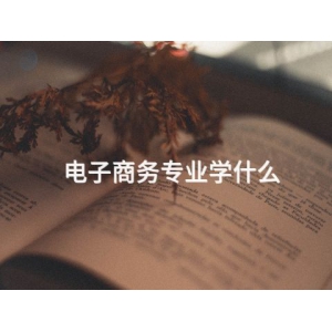电子商务专业学什么