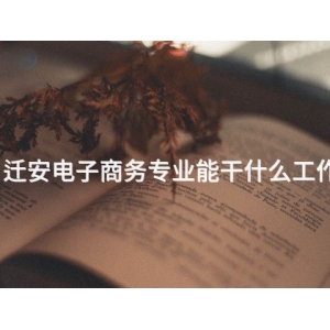 迁安电子商务专业能干什么工作