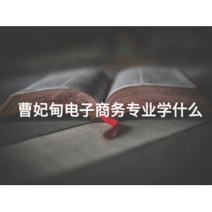 曹妃甸电子商务专业学什么