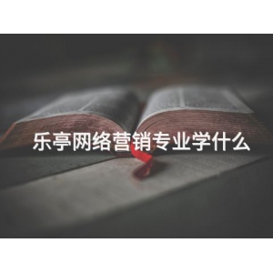 乐亭网络营销专业学什么