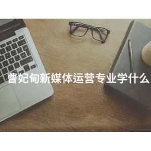 曹妃甸新媒体运营专业学什么