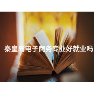 秦皇岛电子商务专业好就业吗