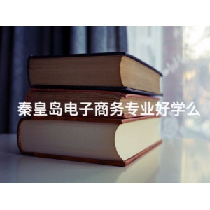 秦皇岛电子商务专业好学么
