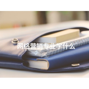 网络营销专业学什么