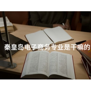 秦皇岛电子商务专业是干嘛的