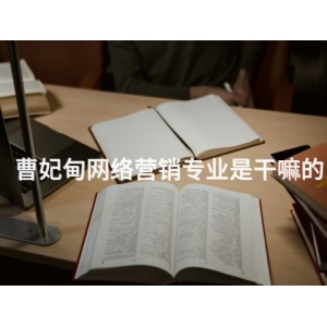 曹妃甸网络营销专业是干嘛的