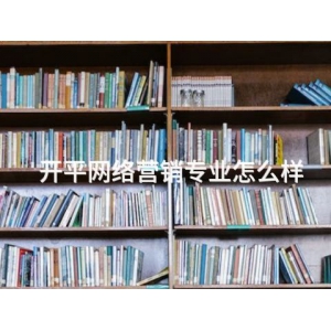 开平网络营销专业怎么样