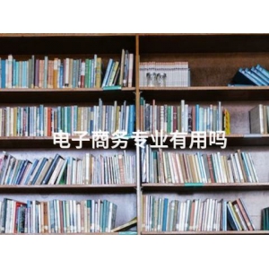 电子商务专业有用吗