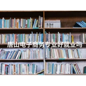 唐山电子商务专业好就业吗