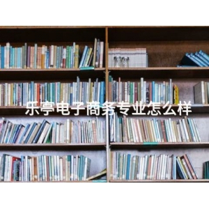 乐亭电子商务专业怎么样