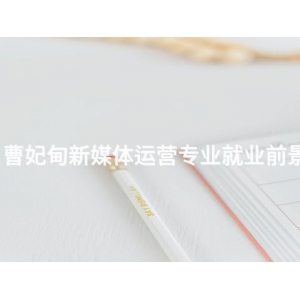 曹妃甸新媒体运营专业就业前景
