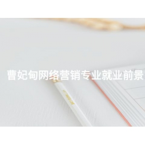 曹妃甸网络营销专业就业前景