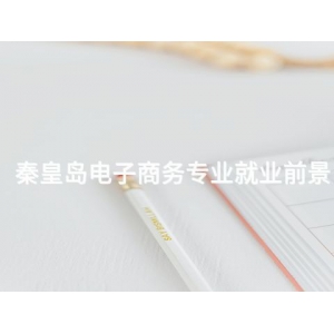 秦皇岛电子商务专业就业前景
