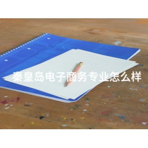 秦皇岛电子商务专业怎么样