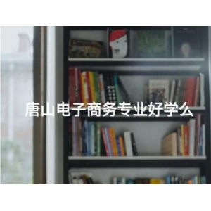 唐山电子商务专业好学么
