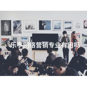 乐亭网络营销专业有用吗